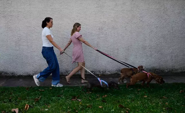 Newlyweds Scarlett Rocha, right, and Fabiana Justiniano walk their dogs in Santa Cruz, Bolivia, Saturday, Aug. 15, 2026. (AP Photo/Juan Karita)