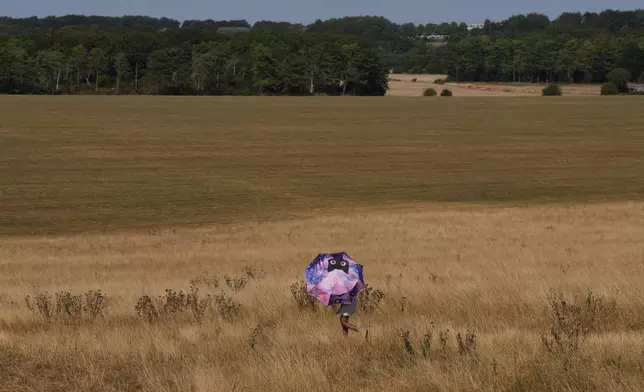 A person holds an umbrella and walks through dry grass at Stonehenge in Wiltshire, England, Thursday, Aug. 13, 2026. (AP Photo/Kin Cheung)