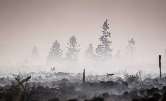 Smoke rises from a scorched field as a wildfire burns near Waimes, Belgium, Monday, Aug. 17, 2026. (AP Photo/Valentin Bianchi)