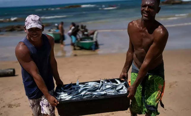 FILE - Fishermen carry their catch of the day to the beach in Salvador, Bahia state, Brazil, Sept. 15, 2022. (AP Photo/Rodrigo Abd, File)