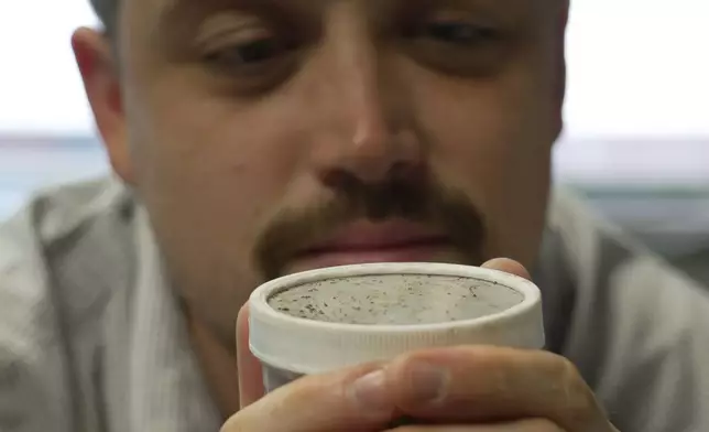 The mouth parts of hungry bedbugs protrude from a vented jar lid as Assistant Professor Christopher Hayes breathes across it in his office at North Carolina State University in Raleigh, N.C., on Monday, Aug. 3, 2026. (AP Photo/Allen G. Breed)