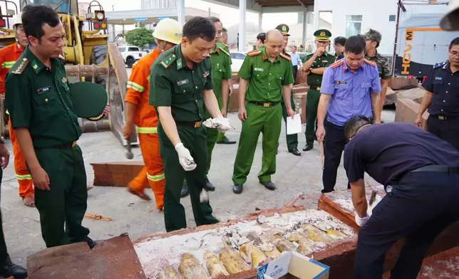 Policemen inspect a log that was being used to conceal 1.2-tons of trafficked ivory at Quy Nhon port in Gia Lai province, Vietnam, Aug. 12, 2026. (Nguyen Sy Thang/VNA via AP)