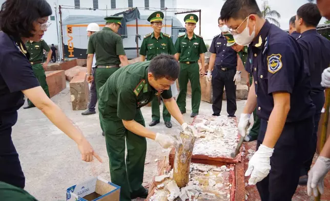 A policeman holds up a tusk, part of the 1.2-tons of trafficked ivory found concealed in a log of timber, in Quy Nhon Port in Gia Lai province, Vietnam, Aug. 12, 2026. (Nguyen Sy Thang/VNA via AP)