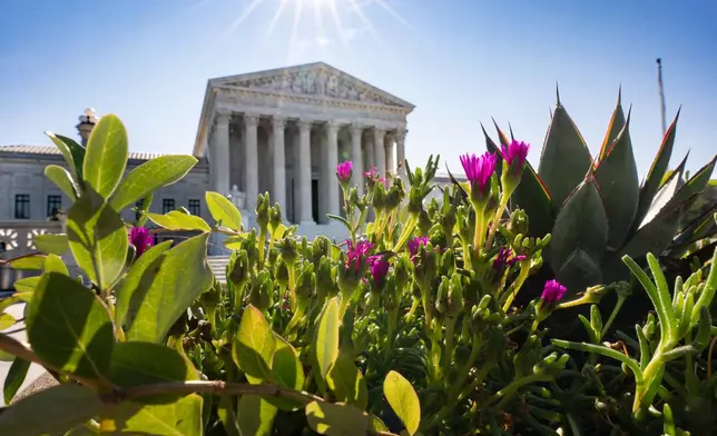 The Supreme Court is seen on the morning after the conservative majority sided with the Trump administration in a case over President Donald Trump's executive order restricting mail-in voting, on Capitol Hill in Washington, Tuesday, Aug. 25, 2026. (AP Photo/J. Scott Applewhite)