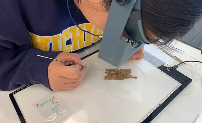 Papyrus Conservation Summer Seminar student Shijin (Giada) Jiang examines a papyrus fragment at the University of Michigan, Thursday, Aug. 6, 2026, in Ann Arbor, Mich. (AP Photo/Mike Householder)