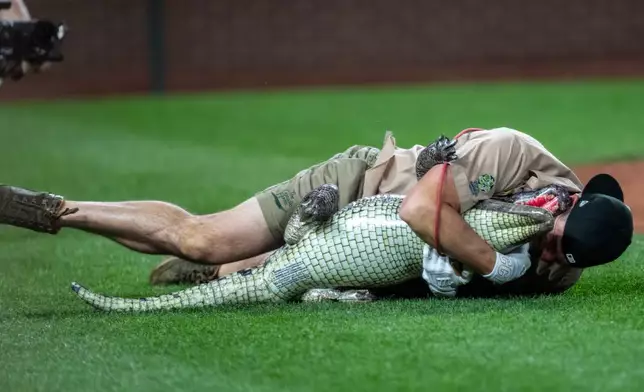 Former Seattle Mariners pitcher Ryan Rowland-Smith wrestles an inflatable crocodile during a homerun derby after a baseball game, Friday, Aug. 7, 2026, in Seattle. (AP Photo/Stephen Brashear)