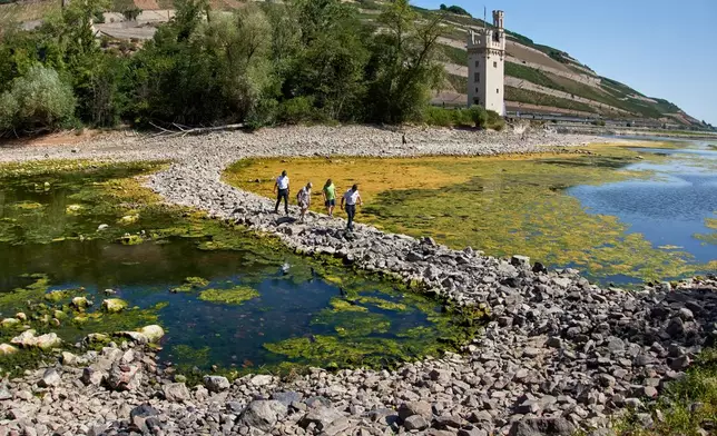 People walk over a stone dam, that is normally covered by water, towards the "Maeuseturm" (mice tower) in the middle of the river Rhine in Bingen, Germany Monday, Aug. 10, 2026. (AP Photo/Michael Probst)
