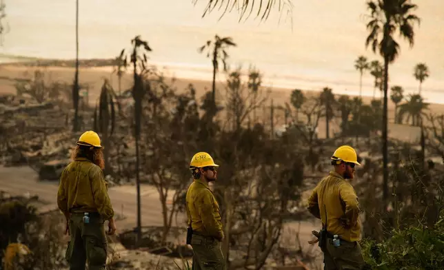 FILE - Fire crews watch the devastation from the Palisades Fire in the Pacific Palisades neighborhood of Los Angeles, Jan. 11, 2025. (AP Photo/John Locher, File)