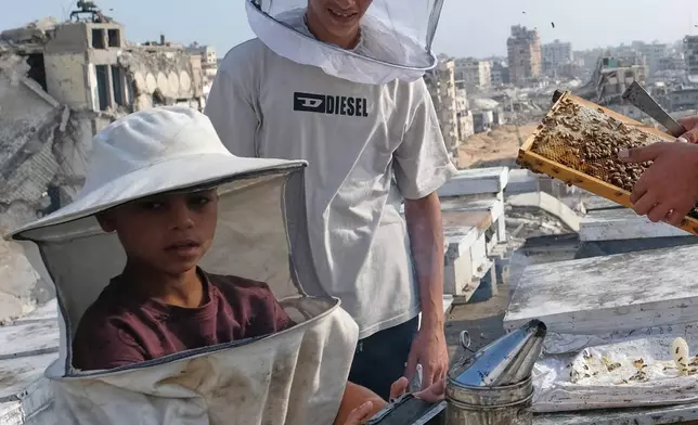 Displaced Palestinian beekeepers harvest honey from beehives at al-Dabba family bee farm, in Gaza city, Saturday, Aug. 8, 2026. (AP Photo/Jehad Alshrafi)