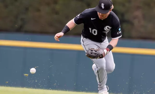 Chicago White Sox second baseman Chase Meidroth (10) chases down a single hit by Detroit Tigers' Gleyber Torres during the second inning of a baseball game Sunday, Aug. 16, 2026, in Detroit. (AP Photo/Duane Burleson)