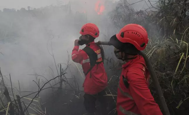 Firefighters attempt to extinguish a wildfire burning through a peatland field in Ogan Ilir, South Sumatra, Indonesia, Monday, Aug. 24, 2026. (AP Photo/Muhammad Hatta)