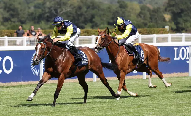 Jerry Chau and Tuco Salamanca take out the Shergar Cup Dash Handicap. Photo source: HKJC