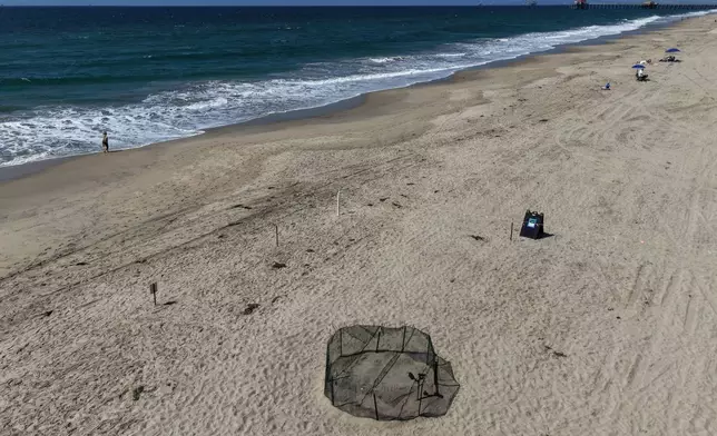 This aerial view shows a protective fence surrounding a sea turtle nesting site on the beach in Huntington Beach, Calif., Tuesday, Sept. 22, 2026. (AP Photo/Jae C. Hong)