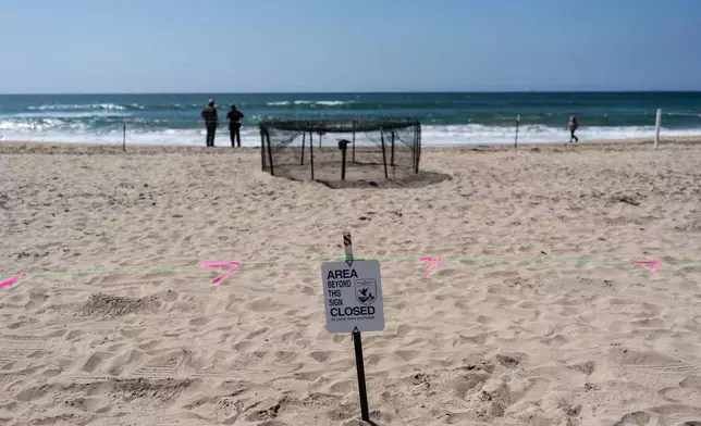 A sign stands near a protected sea turtle nesting area on the beach in Huntington Beach, Calif., Tuesday, Sept. 22, 2026. (AP Photo/Jae C. Hong)