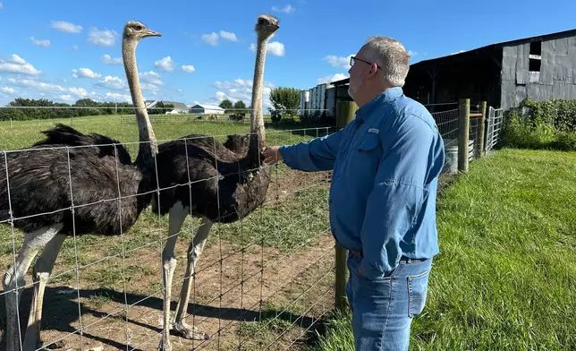 In this photo taken with a smartphone, Brent Williams, who suffers from the tick bite allergy known as alpha gal syndrome, pets an ostrich at Alpha Roost Farms in Danville, Ky., on Tuesday, Aug. 18, 2026. (AP Photo/Dylan Lovan)