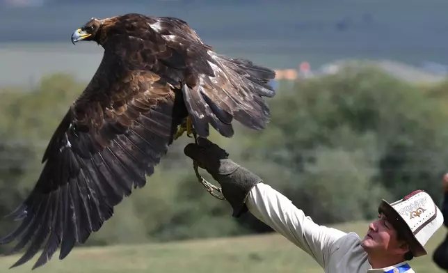 A Kyrgyz hunter with a golden eagle gets ready to compete during at the World Nomad Games in Kyrchyn Gorge, 240 kms. (150 miles) southeast of Bishkek, Kyrgyzstan, on Thursday, Sept. 3, 2026. (AP Photo/Vladimir Voronin)