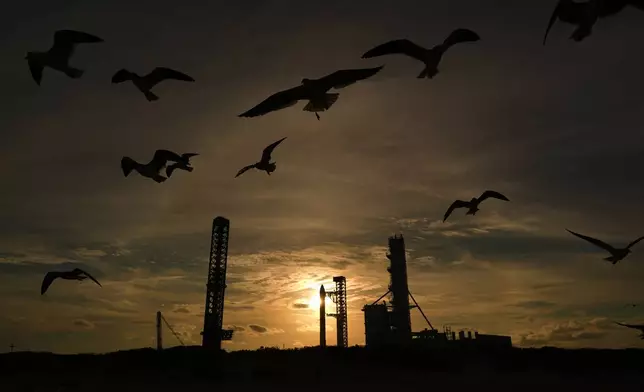 Seagulls fly near the site of SpaceX's mega rocket Starship as it is prepared for a test flight from Starbase, Texas, Sunday, Sept. 27, 2026. (AP Photo/Eric Gay)