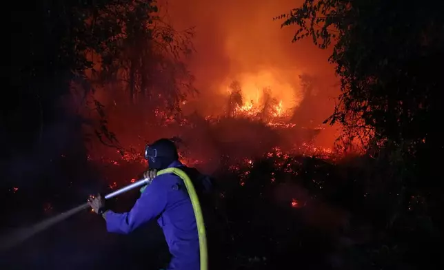 FILE- A firefighter attempts to extinguish a wildfire burning through a peatland field in Sampit, Central Kalimantan, Indonesia, Monday, Aug. 24, 2026. (AP Photo/Andri Rizky Agustian, File)