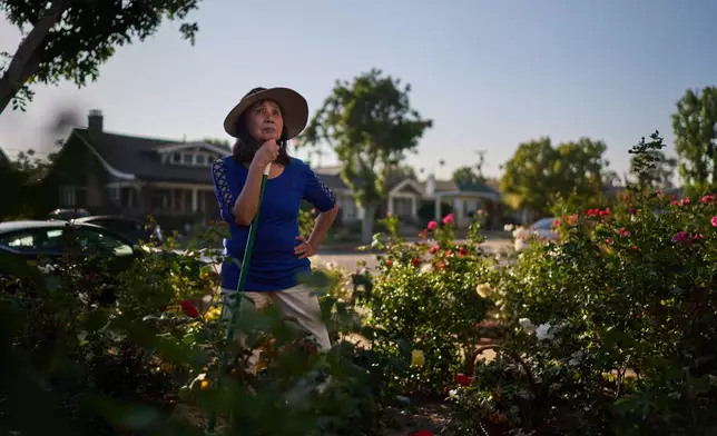 Alice Lin, center, who fought back to recover some of the $720,000 she and her late husband had saved over their lifetime which was stolen by an online scammer, rests for a moment while working in her rose garden, Saturday, May 9, 2026, in Alhambra, Calif. (AP Photo/David Goldman)