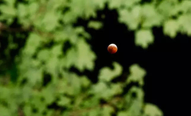 A partial lunar eclipse is seen on Thursday, Aug. 27, 2026, in Louisville, Ky. (AP Photo/Jon Cherry)