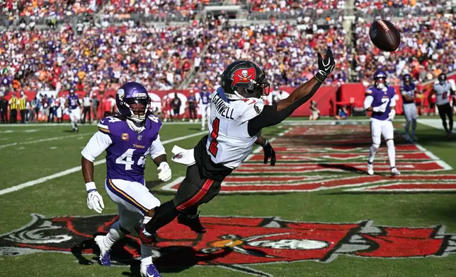 Tampa Bay Buccaneers running back Kenny Gainwell (1) tries to catch an incomplete pass as Minnesota Vikings safety Joshua Metellus (44) defends during the first half of an NFL football game in Tampa, Fla., Sunday, Sept. 27, 2026. (AP Photo/Jason Behnken)