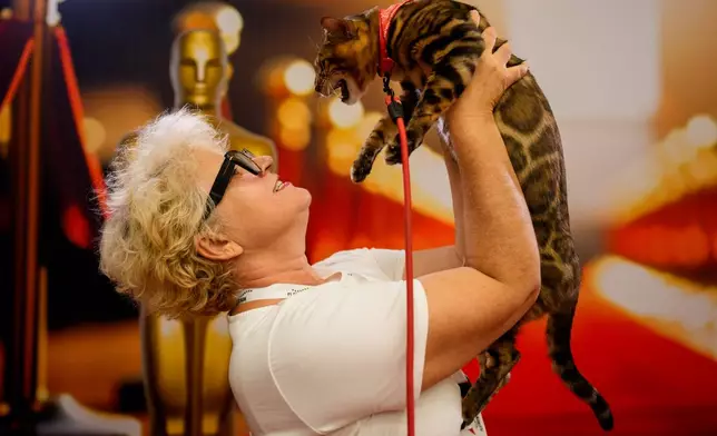 A woman holds Tristan, a Bengal cat, in front of an Oscars themed photo backdrop during an international feline beauty competition, dubbed the Feline Oscars, featuring more than 200 cats in Bucharest, Romania, Saturday, Sept. 26, 2026. (AP Photo/Andreea Alexandru)