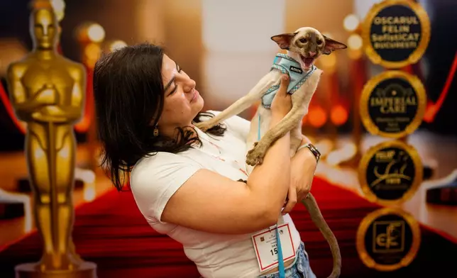 A woman holds Luffy, a Siamese cat, in front of an Oscars themed photo backdrop during an international feline beauty competition, dubbed the Feline Oscars, featuring more than 200 cats in Bucharest, Romania, Saturday, Sept. 26, 2026. (AP Photo/Andreea Alexandru)
