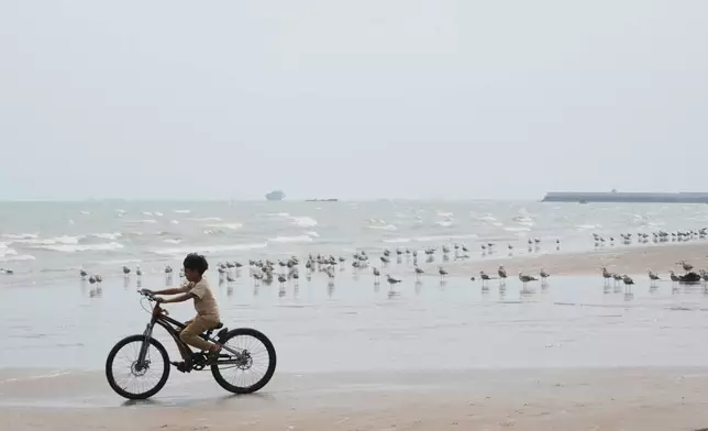 A boy rides a bicycle past gulls gathered along the shore of the Strait of Hormuz in Bandar Abbas, Iran, Monday, Sept. 7, 2026. (AP Photo/Vahid Salemi)