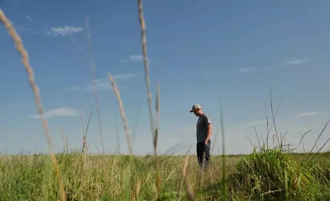 David Mueller stands in his Kernza field Tuesday, July 28, 2026, at his farm in Halstead, Kan. (AP Photo/Joshua A. Bickel)