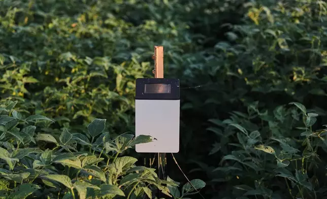 A device measures carbon levels in soil Tuesday, Sept. 1, 2026, at a research farm in Champaign, Ill. (AP Photo/Joshua A. Bickel)