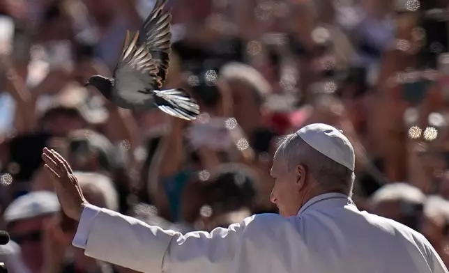 A pigeon flies past Pope Leo XIV as he arrives for his weekly general audience in St. Peter's Square, at the Vatican, Wednesday, Sept. 23, 2026. (AP Photo/Alessandra Tarantino)