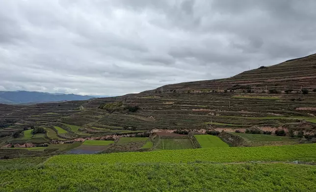 The Laluliang 10,000-mu Chinese Herbal Medicine Planting Base in Dangchang County, Photo by Bastille Post