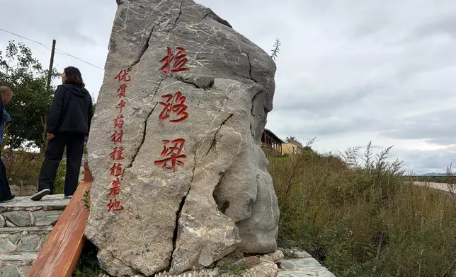 The Laluliang 10,000-mu Chinese Herbal Medicine Planting Base in Dangchang County, Photo by Bastille Post