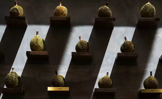 Durians are displayed on a wall at KLDEX (Kuala Lumpur Durian Experience Centre) in Kuala Lumpur, Malaysia, Friday, June 26, 2026. (AP Photo/Vincent Thian)