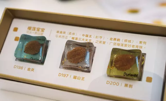Preserved seeds from different durian varieties are displayed at BBDurian in Kuala Lumpur, Malaysia, Thursday, June 25, 2026. (AP Photo/Vincent Thian)
