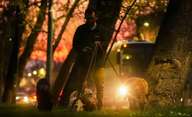 Dogs walk with their owner in a public park in Santiago, Chile, Monday, Sept. 14, 2026. (AP Photo/Esteban Félix)