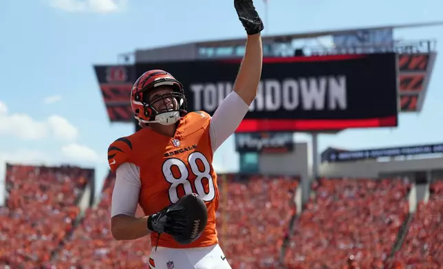 Cincinnati Bengals tight end Mike Gesicki celebrates after scoring a touchdown against the Tampa Bay Buccaneers in the first half of an NFL football game Sunday, Sept. 13, 2026, in Cincinnati. (AP Photo/Joshua A. Bickel)