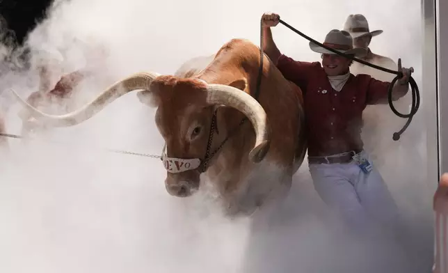 Texas mascot Bevo is brought on to the field by handlers for an NCAA college football game between Texas and Texas State in Austin, Texas, Saturday, Sept. 5, 2026. (AP Photo/Eric Gay)