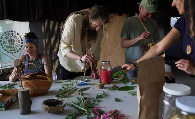 Guests mix herbal oxymels, glycerites and tinctures at Organic Compound's annual event, "Halfway to Harmony," in Faribault, Minn., Saturday, June 20, 2026. (AP Photo/Jessie Wardarski)