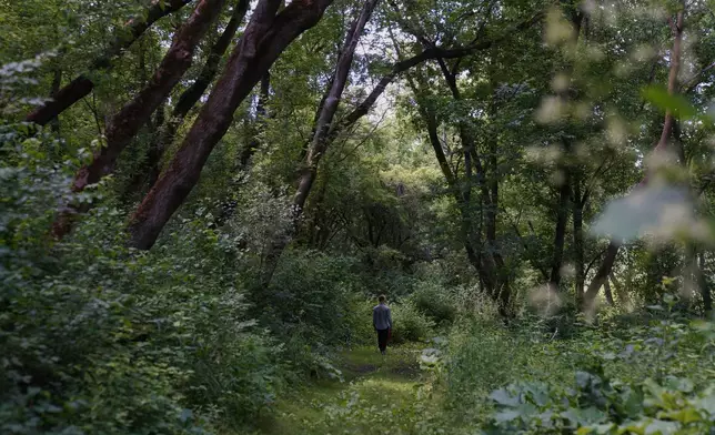 A guest takes a nature walk at Organic Compound during the farm's annual event, "Halfway to Harmony," in Faribault, Minn., Saturday, June 20, 2026. (AP Photo/Jessie Wardarski)