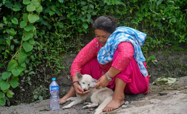Shoba Shrestha gives water to her dog Sweety, after the dog returned home following four days apart in the aftermath of flash floods in Nepal's Nuwakot district, Saturday, Aug. 29, 2026. (AP Photo/Dar Yasin)