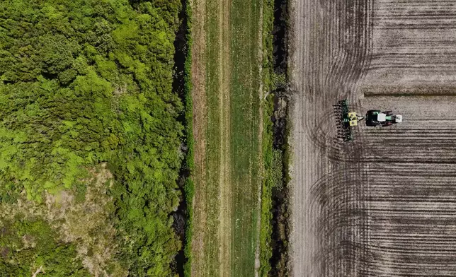 A planter, right, works in a field adjacent to a peatland forest Tuesday, May 5, 2026, in Belhaven, N.C. (AP Photo/Joshua A. Bickel)