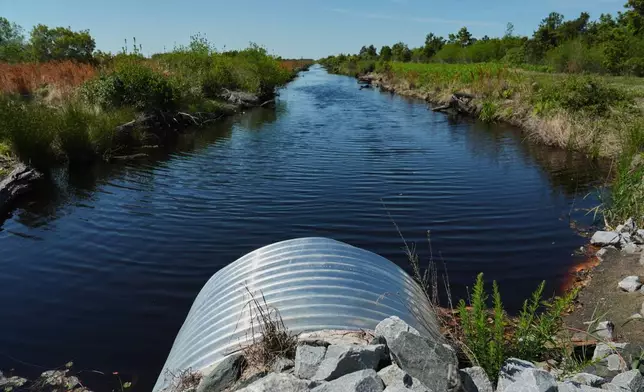 Water fills an irrigation ditch with repaired drainage structures Tuesday, May 5, 2026, in Belhaven, N.C. (AP Photo/Joshua A. Bickel)