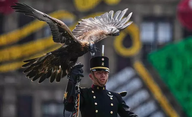 A cadet from the Heroic Military Academy parades with a golden eagle, the academy mascot, during the Independence Day military parade in the capital's main square, the Zocalo, in Mexico City, Wednesday, Sept. 16, 2026. (AP Photo/Marco Ugarte)