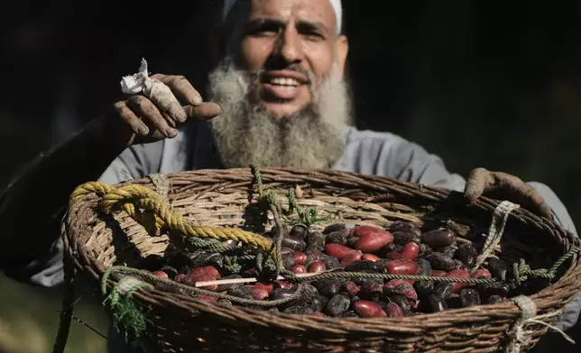 Hajj Ibrahim Rizk, whose finger is injured from rope burn while climbing his palm trees, offers dates he harvested to people passing by in Kafr Sendwah village, in Qalyubia on the outskirts of Cairo, Egypt, Tuesday, Sept. 15, 2026. (AP Photo/Amr Nabil)