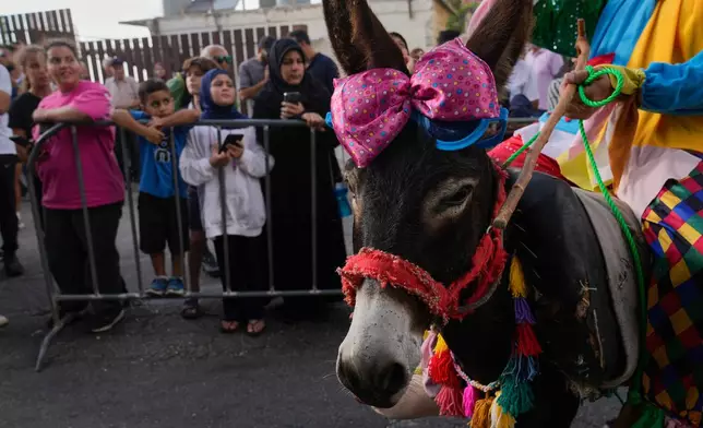 A donkey with colored ribbons passes in front of fans during the traditional summer donkey race in Roum village, southern Lebanon, Sunday, Sept. 6, 2026. (AP Photo/Hussein Malla)