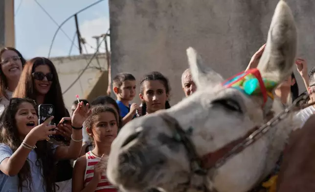 Lebanese spectators cheer during the traditional summer donkey race in Roum village, southern Lebanon, Sunday, Sept. 6, 2026. (AP Photo/Hussein Malla)