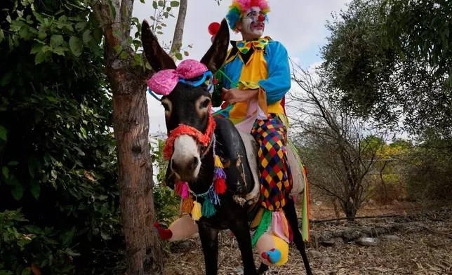 A participant dressed as a clown rides his donkey during the traditional summer donkey race in Roum village, southern Lebanon, Sunday, Sept. 6, 2026. (AP Photo/Hussein Malla)