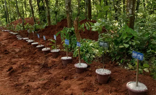 Numbered identification tags placed inside pots mark the graves of flash flood victims at a mass burial site in Chitwan, Nepal, Monday, Aug. 31, 2026. (AP Photo/Dar Yasin)