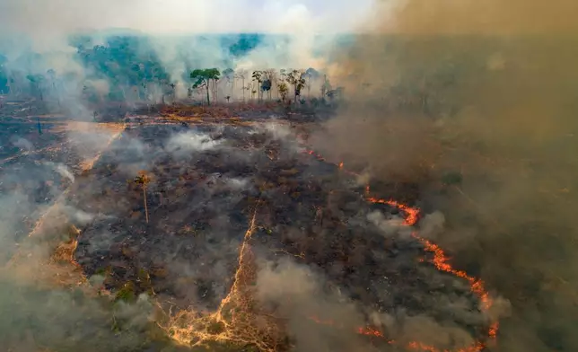 FILE - A wildfire consumes land recently deforested by cattle farmers near Novo Progresso, Para state, Brazil, Aug. 23, 2020. (AP Photo/Andre Penner, File)